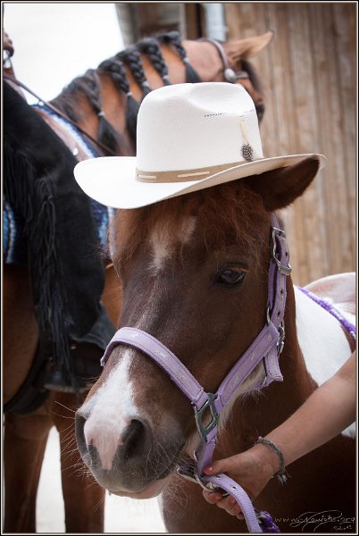 Thalmeier Ranch 2014 06 15 - 209